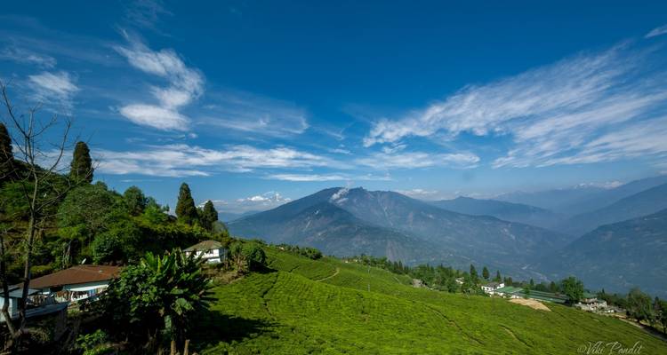 La Reina de las colinas - excursión a Darjeeling - Panda Experiences 3