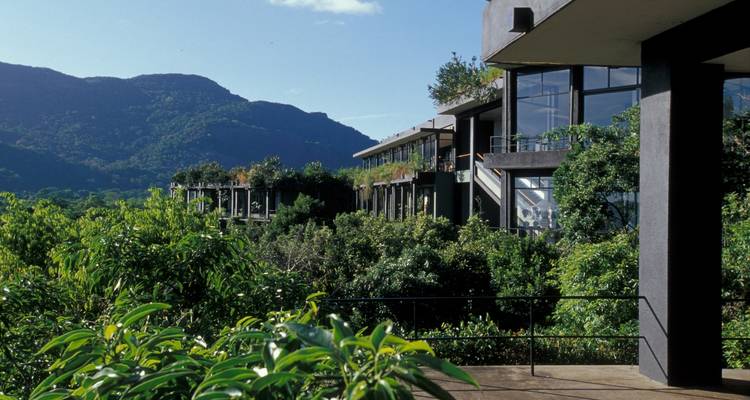 Modern gebouw gelegen tussen tropische groen.