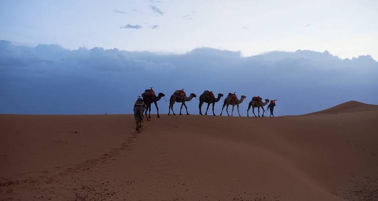 5 Days Sahara Desert Tour from Marrakech - Guided Morocco Tours 9