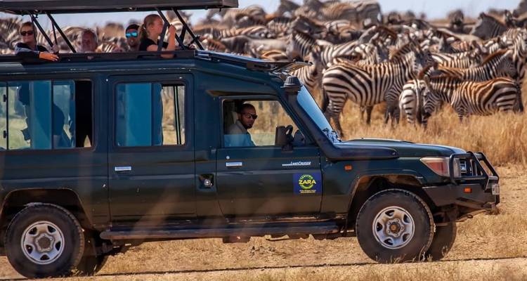Le meilleur de la Tanzanie - 9 jours de safari de luxe - Zara Tours (Zara Tanzania Adventures) 8