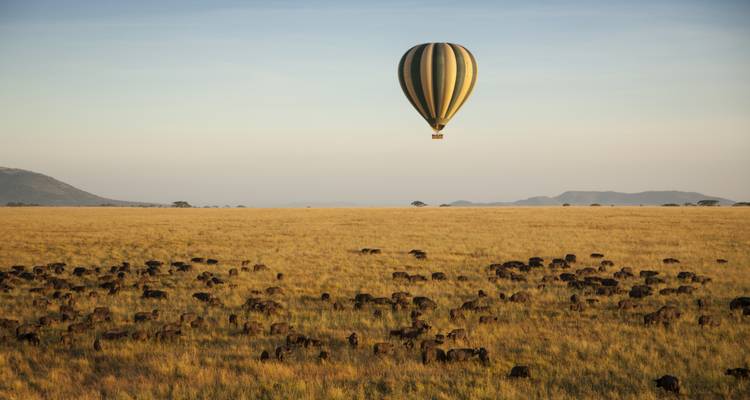 Safari de migration des gnous*Safari de la saison de mise bas* janvier - mars - Zara Tours (Zara Tanzania Adventures) 1
