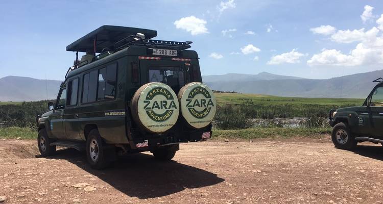 Safari de migration des gnous*Safari de la saison de mise bas* janvier - mars - Zara Tours (Zara Tanzania Adventures) 8