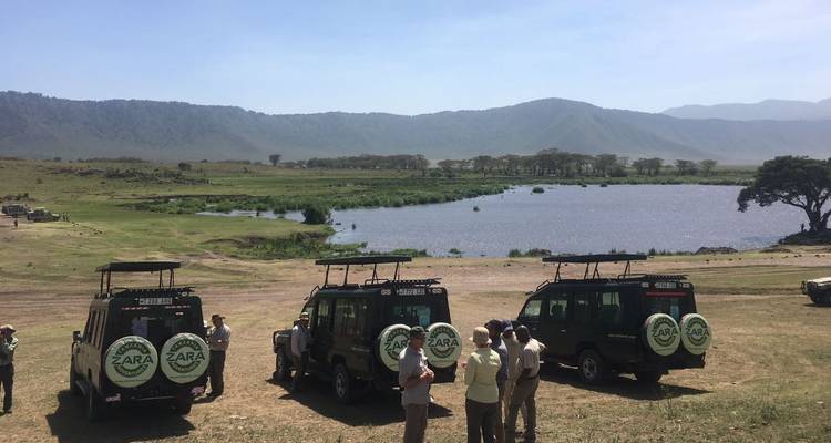 Safari de migration des gnous*Safari de la saison de mise bas* janvier - mars - Zara Tours (Zara Tanzania Adventures) 6