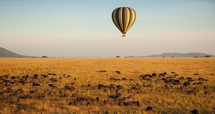 Safari de luxe dans le nord de la Tanzanie - Zara Tours (Zara Tanzania Adventures) 7