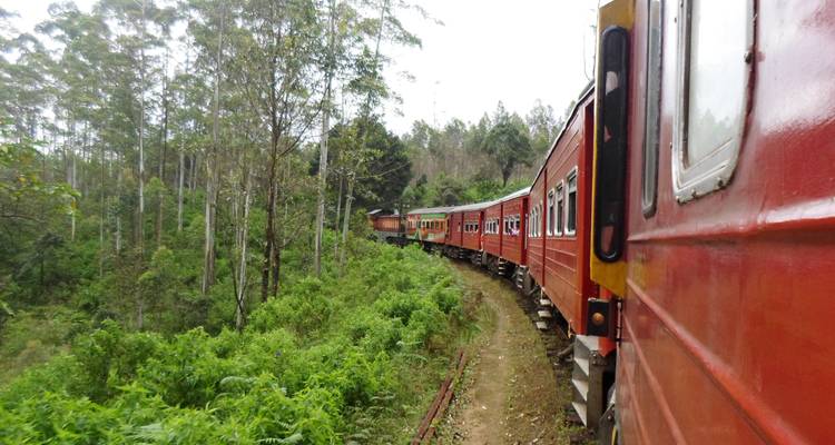 Circuit du train des amoureux au Sri Lanka - 11 jours - Stelaran Holidays (Pvt) Ltd 6