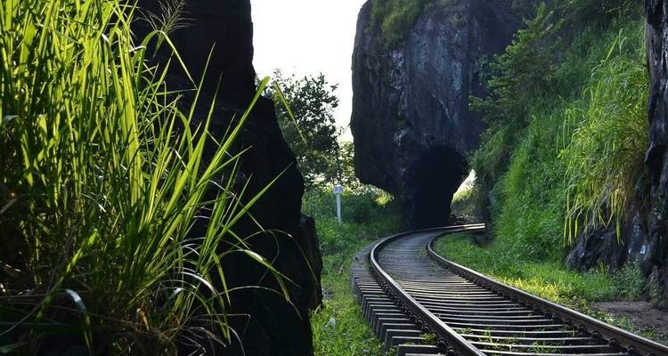 Circuit du train des amoureux au Sri Lanka - 11 jours - Stelaran Holidays (Pvt) Ltd 2