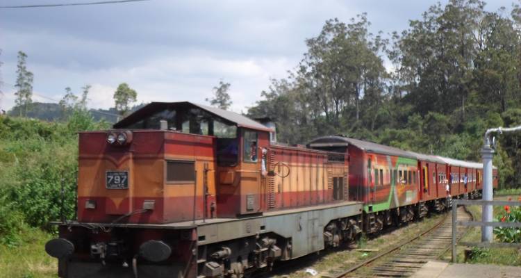 Circuit du train des amoureux au Sri Lanka - 11 jours - Stelaran Holidays (Pvt) Ltd 4