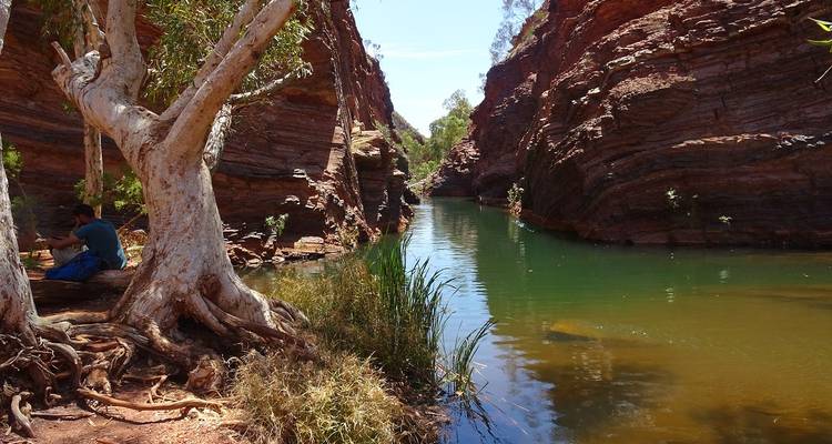 Rote-Felsen-Schlucht mit Eukalyptus-Wurzeln und schmaler smaragdgrüner Pool, ein Besucher sitzt am Rand und genießt die Aussicht.