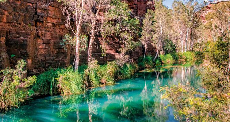 Lebhafter türkisfarbener Bach, der sich zwischen roten Felswänden und üppigen grünen Schilfen in einer abgelegenen Schlucht in Westaustralien schlängelt.
