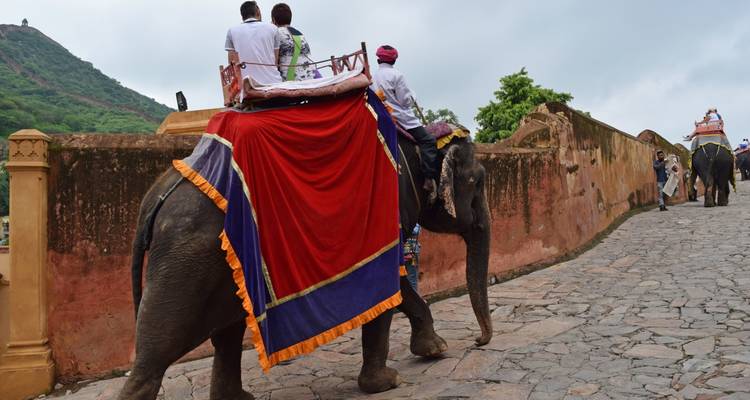 Olifantrit over een stenen pad.