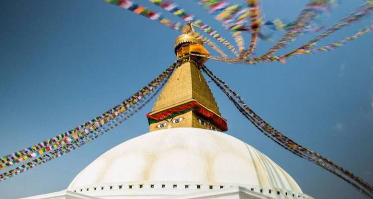 Real Nepal Tour - Accessible Adventure Pvt. Ltd 4