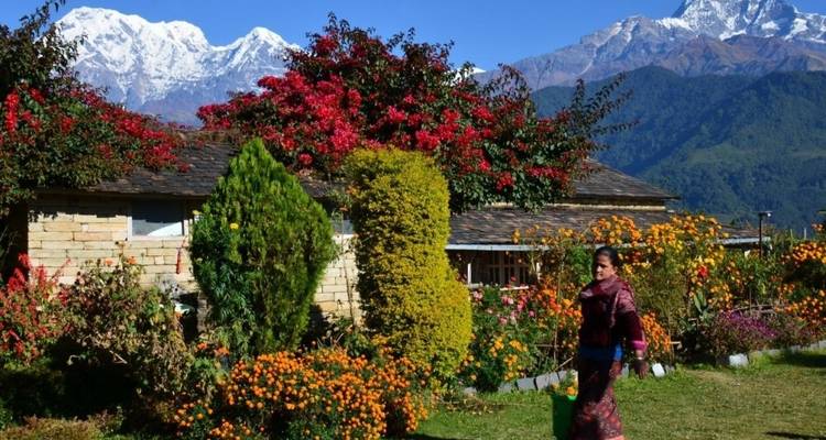 Mardi Himal Trek - Nepal Social Treks 3