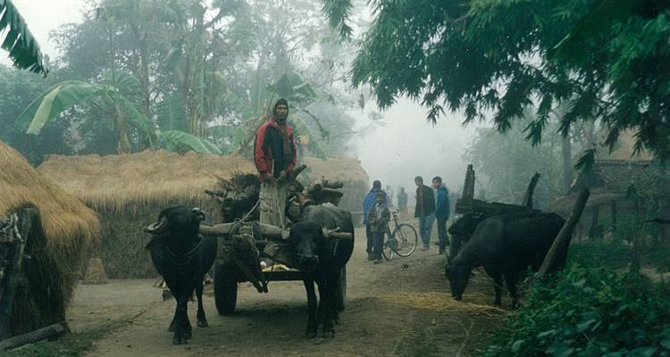 Menschen mit einem Karren und Büffel in einem ländlichen Dorf.