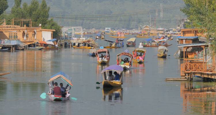 Golden Triangle Tour with Ranthambore - Panda Experiences 6