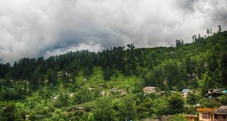 Circuito al triángulo de oro con Shimla y Manali - Panda Experiences 7