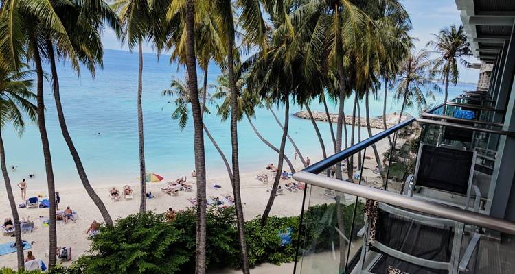 Vista de la playa con palmeras y bañistas vista desde un balcón.