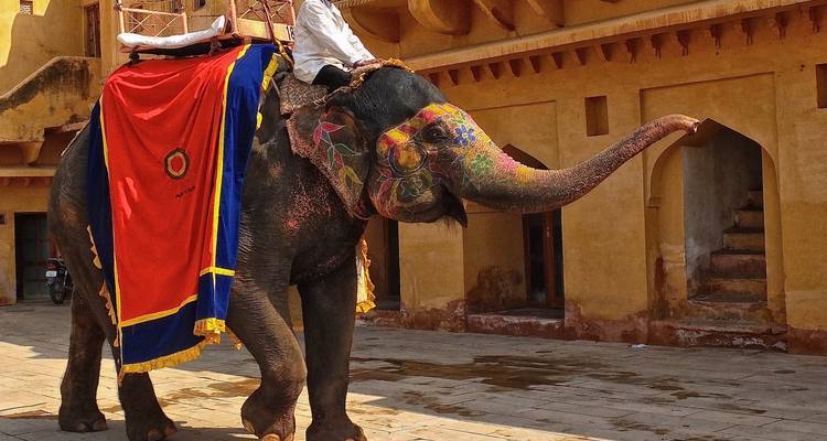 Circuito al triángulo de oro con Ajmer - Panda Experiences 7