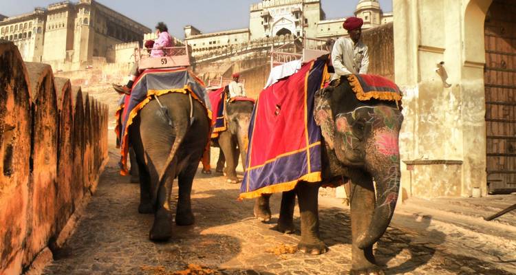 Circuito de 10 días por la naturaleza con Jaipur - Panda Experiences 4