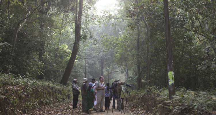 A group of people birdwatching in a dense forest area.
