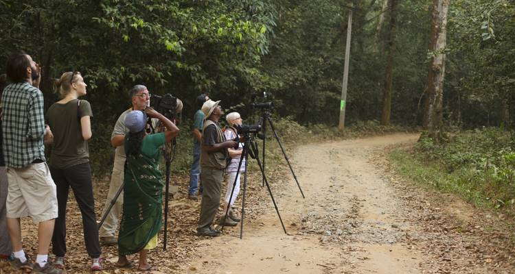 Group of people birdwatching with cameras and binoculars in a forest.