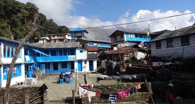 Ghorepani Poon Hill Trek - Accessible Adventure Pvt. Ltd 9