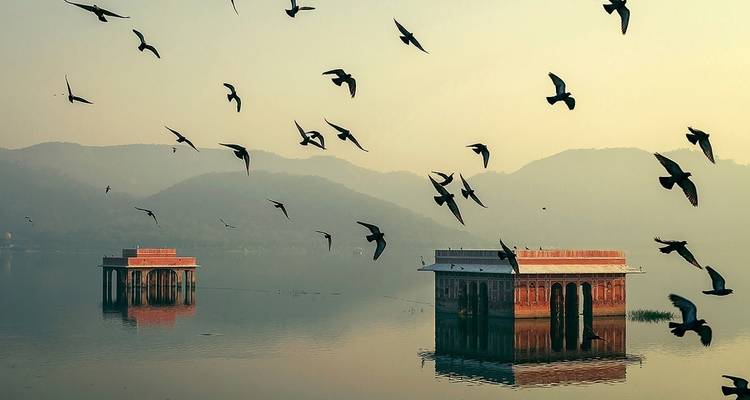 Golden Triangle Tour with North East - Panda Experiences 3