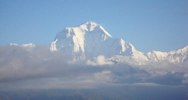 Trek de Ghorepani Poonhill - Nepal Social Treks 6