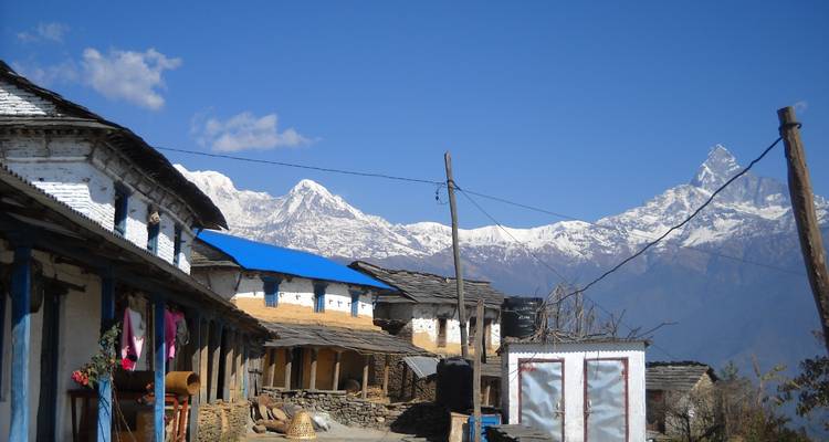 Trek de Ghorepani Poonhill - Nepal Social Treks 3