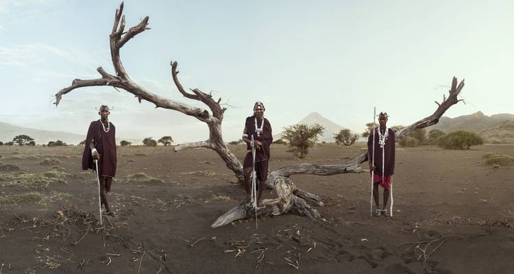 3 jours de safari au pays de la fierté - Adventure Makers Tanzania 6