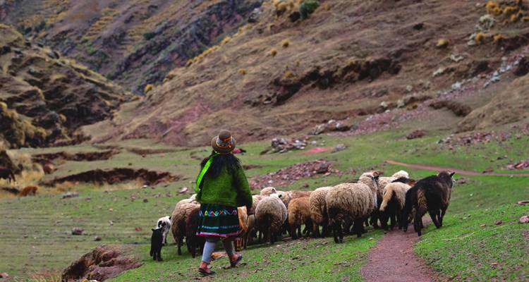 Highlights of the Andes 8 Days and 7 Nights - Action Peru Treks 8