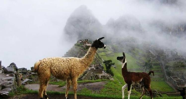 Highlights of the Andes 8 Days and 7 Nights - Action Peru Treks 1