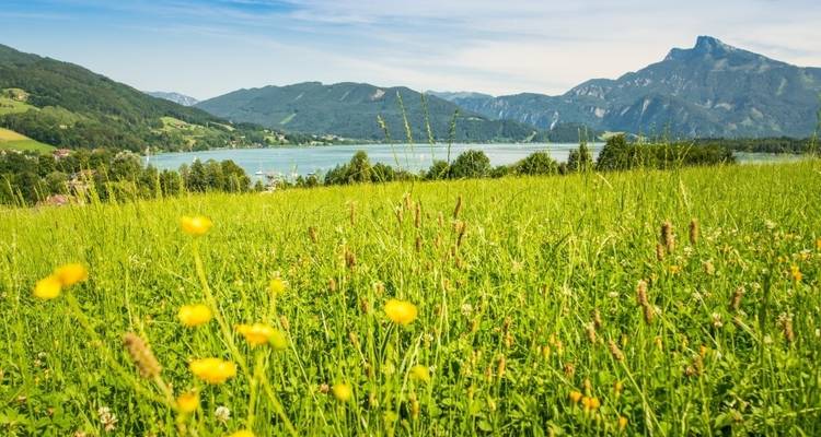 Self-Guided Walking in Austria's Lake District - Exodus Adventure Travels 3