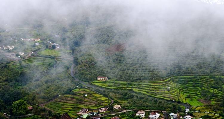 Circuito al triángulo de oro con Shimla - Panda Experiences 1