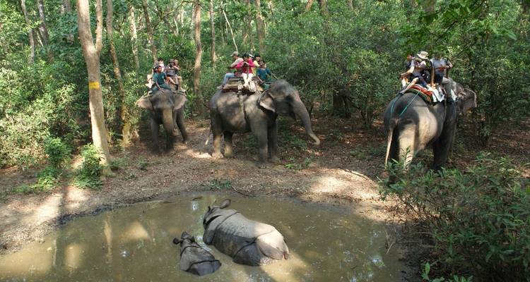 Chitwan Jungle Safari - 3 Days - Accessible Adventure Pvt. Ltd 7