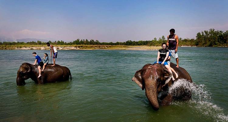 Chitwan Jungle Safari - 3 Days - Accessible Adventure Pvt. Ltd 2