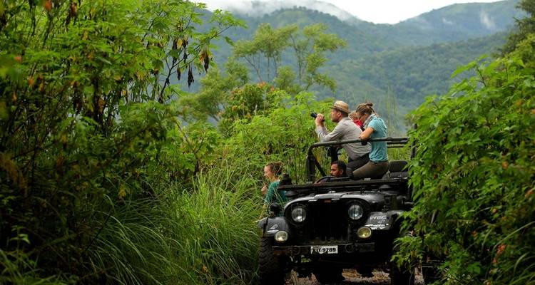 Circuit des stations de montagne et de la faune - Kerala - Panda Experiences 2