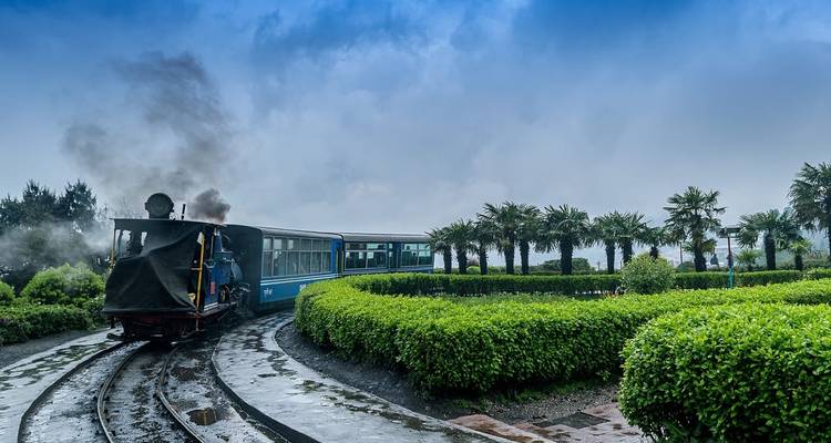Dampfzug auf einem Bergbahngleis mit Nebel und Grün.