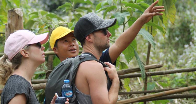 Aventures à vélo, à pied, cascades, kayak et hébergement chez l'habitant. - Tiger Trail Travel 6