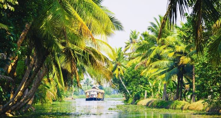Aguas estancadas y playas de Kerala - Panda Experiences 7