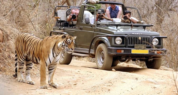 North India Adventure - Panda Experiences 2