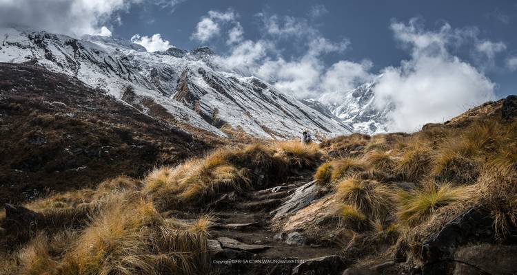Trek du Sanctuaire de l'Annapurna - pour les débutants et les plus âgés - Peregrine Treks and Expedition Pvt Ltd 6
