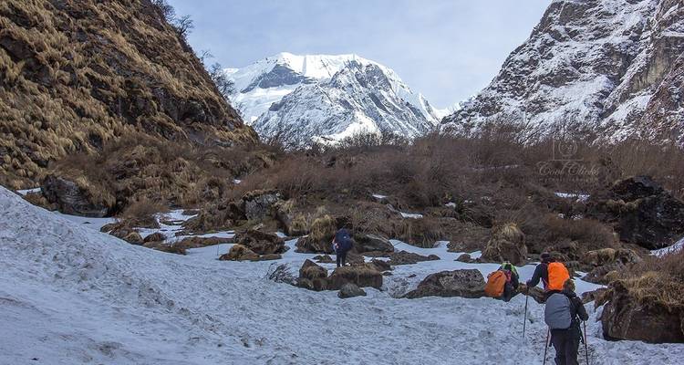 Trek du Sanctuaire de l'Annapurna - pour les débutants et les plus âgés - Peregrine Treks and Expedition Pvt Ltd 4