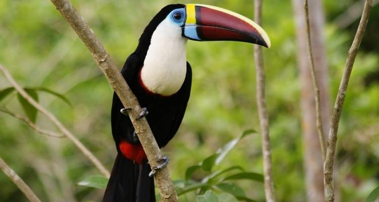 Ashuar Lodge expedición a la selva 7 días circuito - GUIDEcuador Travel 6