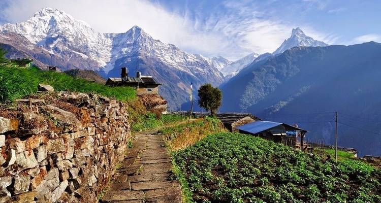 Trek du camp de base de l'Annapurna - Nepal Social Treks 1
