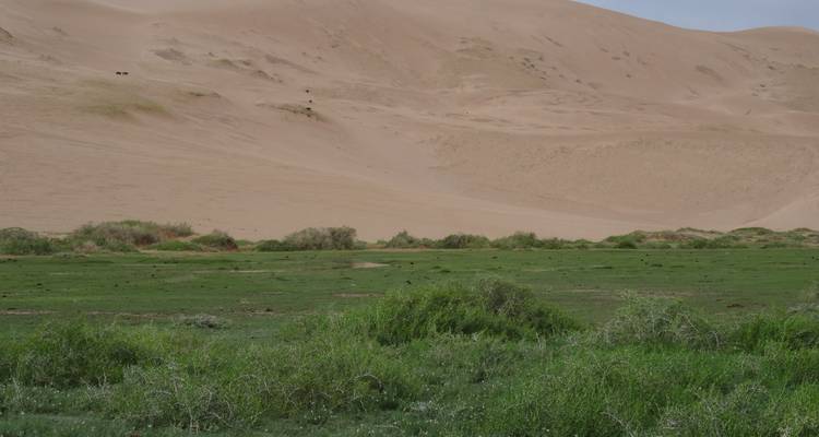 Circuit à cheval dans le désert de Gobi - TTRMongolia 6