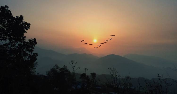 Birds flying during a scenic sunset over hills.
