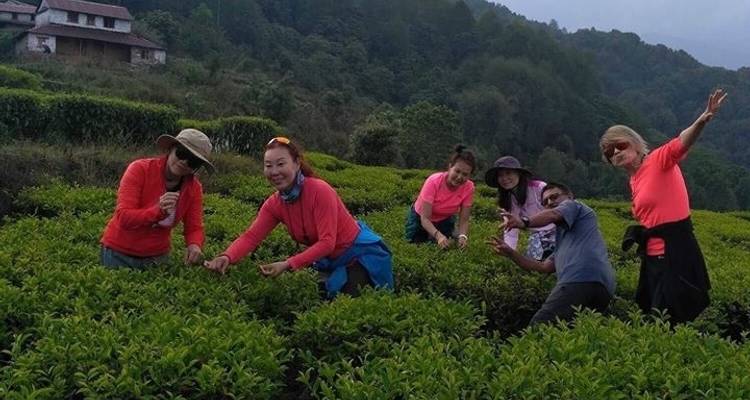 Trekking Mardi Himal - 13 jours - Trekking Guide Team Adventure 4