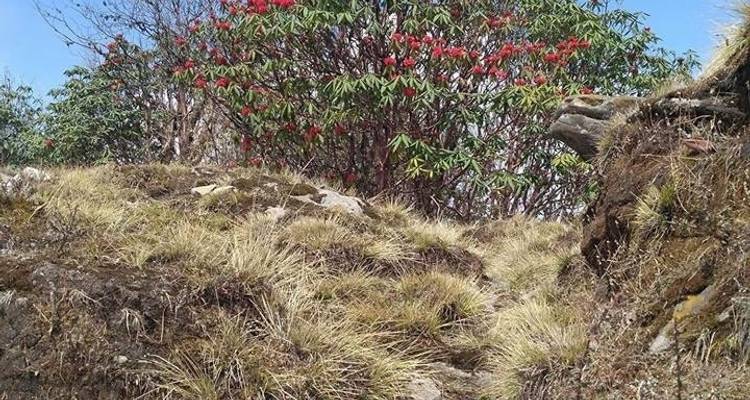 Trekking Mardi Himal - 13 jours - Trekking Guide Team Adventure 6