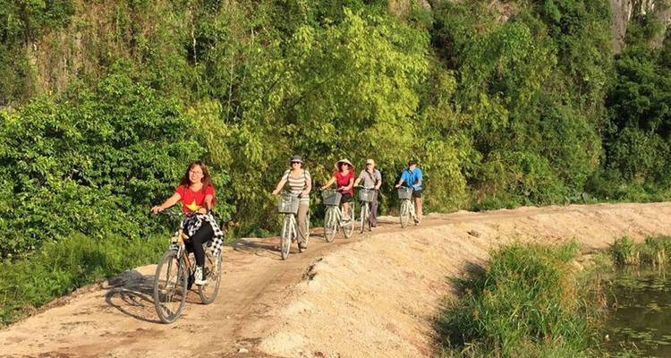 Grupo de turistas en bicicleta por un sendero a través de campos verdes.