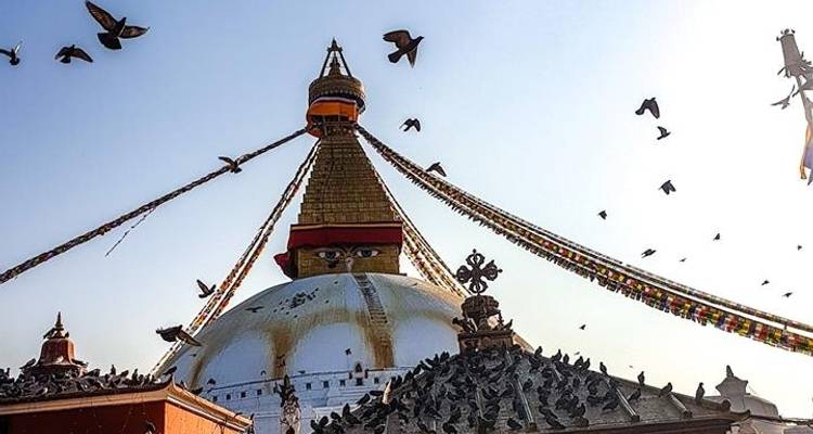 Everest View Trek - 8 Days - Trekking Guide Team Adventure 7